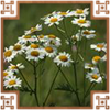 https://upforme.ru/uploads/0019/e9/2f/2/290535.png