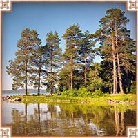 https://upforme.ru/uploads/0019/e9/2f/2/292197.png