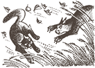 https://upforme.ru/uploads/0019/e9/2f/2/318432.png