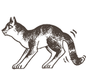 https://upforme.ru/uploads/0019/e9/2f/2/367352.png