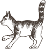 https://upforme.ru/uploads/0019/e9/2f/2/376229.png