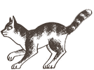 https://upforme.ru/uploads/0019/e9/2f/2/396896.png