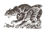 https://upforme.ru/uploads/0019/e9/2f/2/417101.png