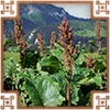 https://upforme.ru/uploads/0019/e9/2f/2/436183.png