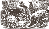 https://upforme.ru/uploads/0019/e9/2f/2/474124.png
