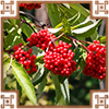 https://upforme.ru/uploads/0019/e9/2f/2/490411.png
