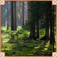 https://upforme.ru/uploads/0019/e9/2f/2/513855.png