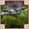https://upforme.ru/uploads/0019/e9/2f/2/518732.png