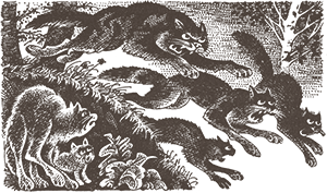https://upforme.ru/uploads/0019/e9/2f/2/526787.png