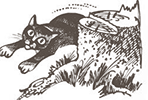 https://upforme.ru/uploads/0019/e9/2f/2/531909.png