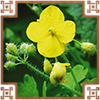 https://upforme.ru/uploads/0019/e9/2f/2/557140.png