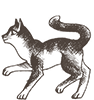 https://upforme.ru/uploads/0019/e9/2f/2/637080.png