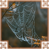 https://upforme.ru/uploads/0019/e9/2f/2/691988.png