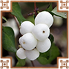 https://upforme.ru/uploads/0019/e9/2f/2/719240.png