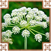 https://upforme.ru/uploads/0019/e9/2f/2/721447.png
