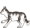 https://upforme.ru/uploads/0019/e9/2f/2/729400.png