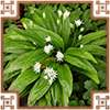https://upforme.ru/uploads/0019/e9/2f/2/730758.png