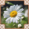 https://upforme.ru/uploads/0019/e9/2f/2/743964.png