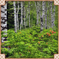 https://upforme.ru/uploads/0019/e9/2f/2/756310.png