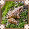 https://upforme.ru/uploads/0019/e9/2f/2/77227.png