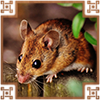 https://upforme.ru/uploads/0019/e9/2f/2/777693.png
