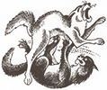 https://upforme.ru/uploads/0019/e9/2f/2/795835.png