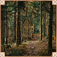 https://upforme.ru/uploads/0019/e9/2f/2/796644.png