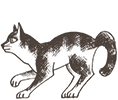 https://upforme.ru/uploads/0019/e9/2f/2/816280.png