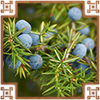 https://upforme.ru/uploads/0019/e9/2f/2/832259.png