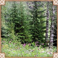 https://upforme.ru/uploads/0019/e9/2f/2/834883.png