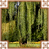 https://upforme.ru/uploads/0019/e9/2f/2/881536.png