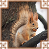 https://upforme.ru/uploads/0019/e9/2f/2/881704.png