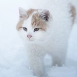 https://upforme.ru/uploads/0019/e9/2f/21/t422718.jpg