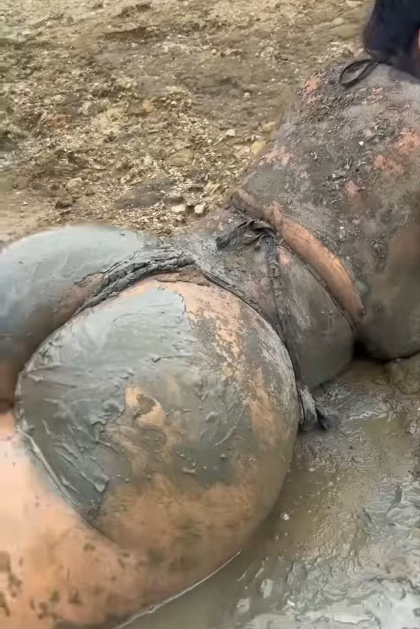 https://upforme.ru/uploads/0019/f2/2c/1384/432730.jpg