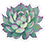https://upforme.ru/uploads/0019/f2/49/84/10079.png