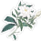 https://upforme.ru/uploads/0019/f2/49/84/195019.png
