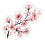 https://upforme.ru/uploads/0019/f2/49/84/623841.png