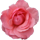 https://upforme.ru/uploads/0019/f2/49/84/64232.png