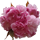 https://upforme.ru/uploads/0019/f2/49/84/64323.png