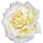 https://upforme.ru/uploads/0019/f2/49/84/679781.png