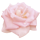 https://upforme.ru/uploads/0019/f2/49/84/699202.png