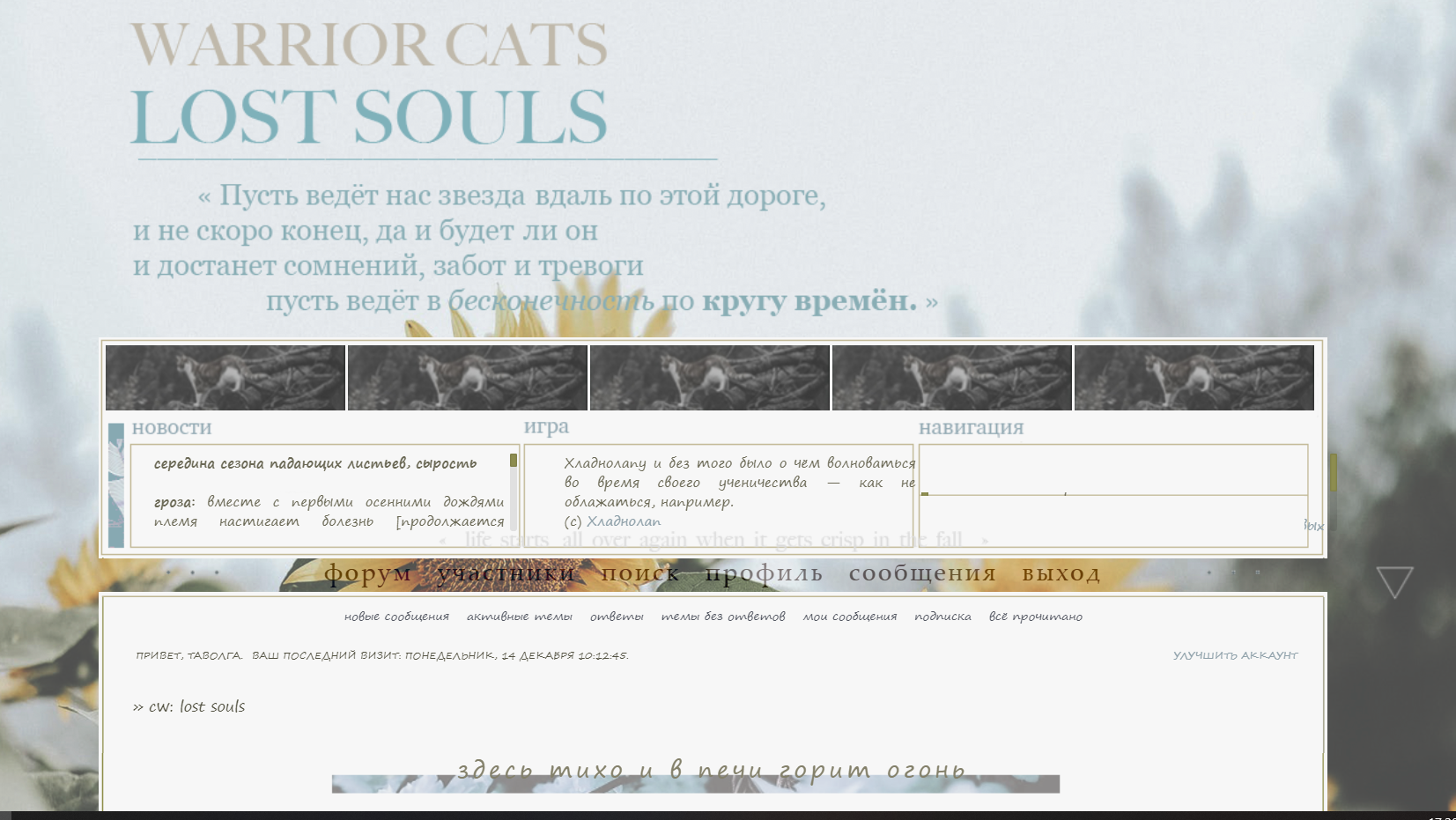 https://upforme.ru/uploads/0019/f3/4b/164/44681.png