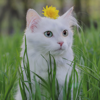 https://upforme.ru/uploads/0019/f3/4b/2/510613.png
