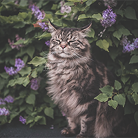 https://upforme.ru/uploads/0019/f3/4b/4/116570.png