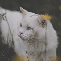 https://upforme.ru/uploads/0019/f3/4b/4/146836.png