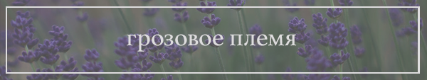 https://upforme.ru/uploads/0019/f3/4b/4/655040.png