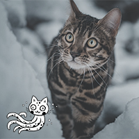 https://upforme.ru/uploads/0019/f3/4b/4/85017.png