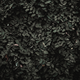 https://upforme.ru/uploads/0019/f3/4b/73/231972.png
