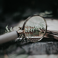 https://upforme.ru/uploads/0019/f3/4b/73/828561.png