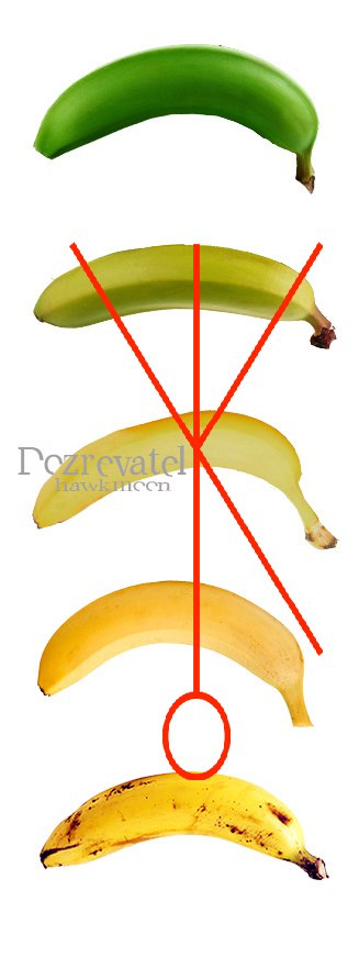 https://upforme.ru/uploads/0019/f3/f4/1069/t673496.png